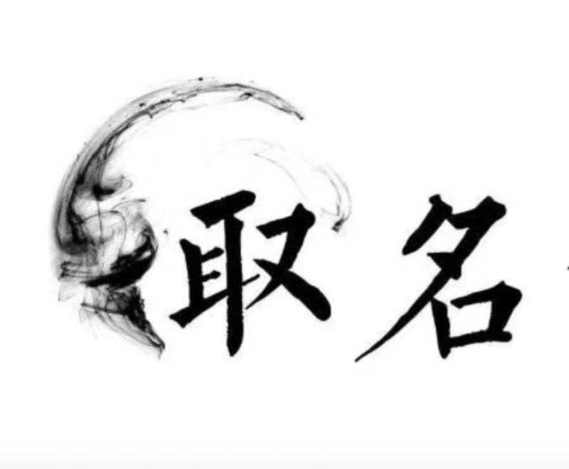  金山屯宝宝取名 大师一对一人工起名